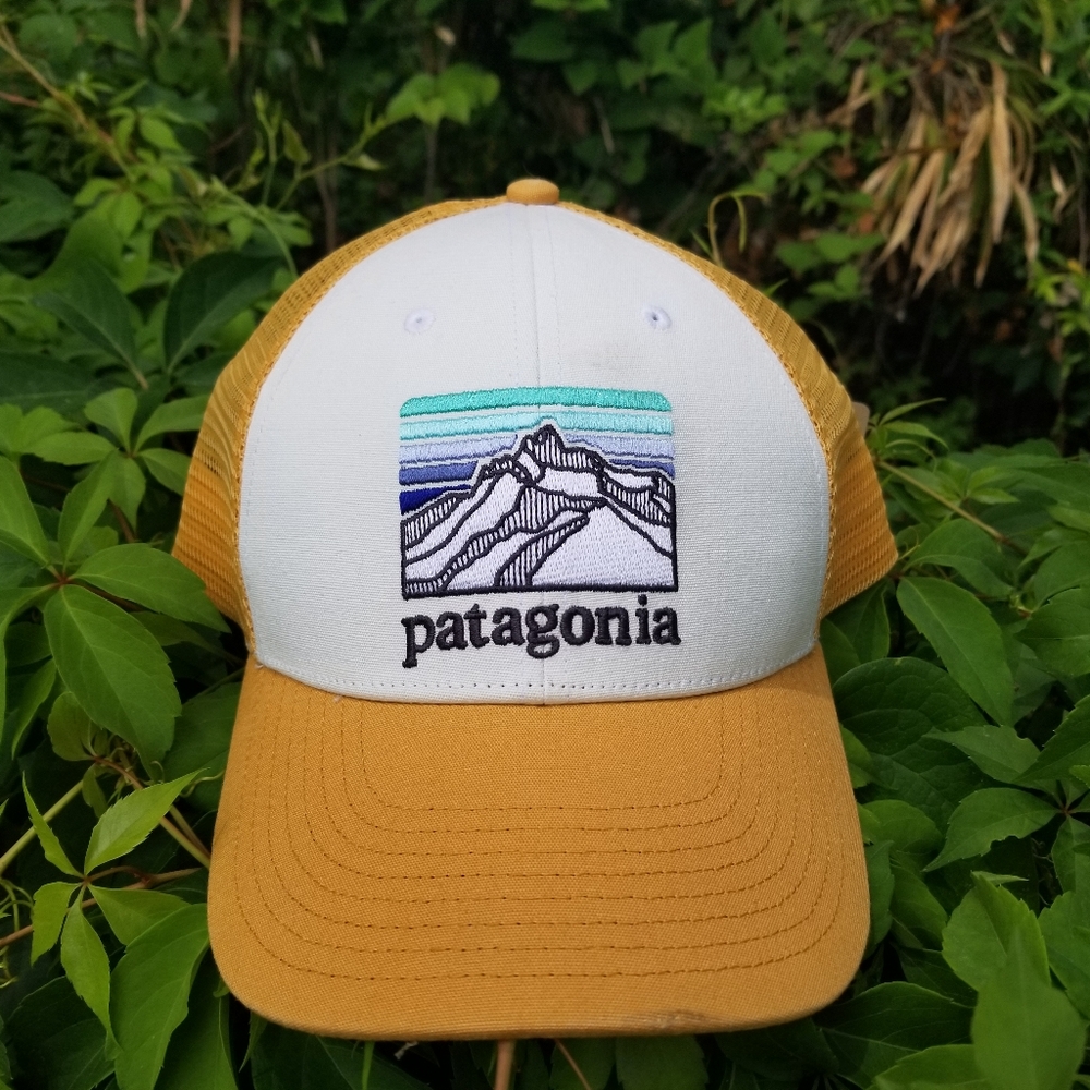 Patagonia Line Logo Ridge LoPro Trucker Fishing Surf Hat NEW